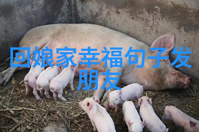 我的床上通古今暴富很合理吧小说全文免费阅读-徐娇娇抖音新书热荐我的床上通古今暴富很合理吧全文免费阅读